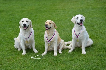 4. zleva: Darwin, Meggie (Claudie), Erwin