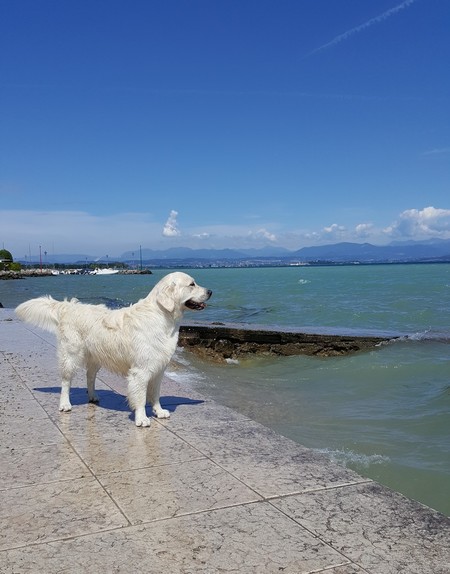 lago di garda 2