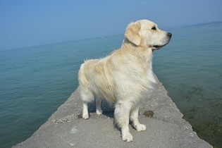 Lago di Garda