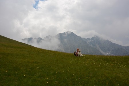my dva a Plattenspitzen 2670 m.n.m (ps. to bílé vpravo za námi je opravdu sníh)