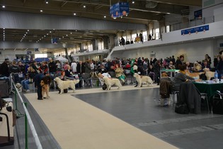 2.