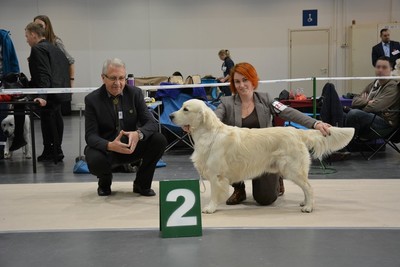 5.