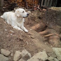 Je to taky velký pomocník, avšak hlavní je se dobře uvelebit