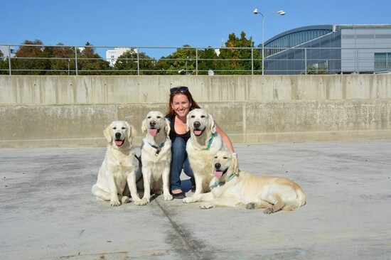 zprava: Buffy, Harry, Darwin a Daisy