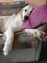 barnaby