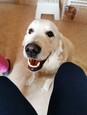 monty