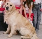 maty