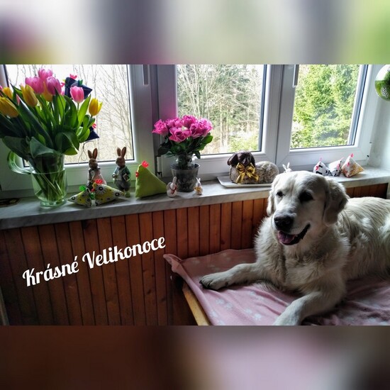 velikonoce