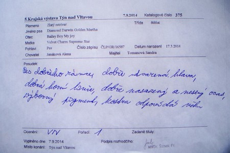 3/4 posudek