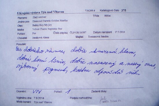 3/4 posudek