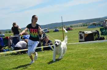 DSC 0089