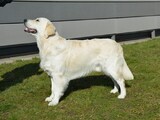 DSC 0558