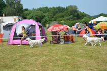 DSC 0653