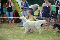 DSC 0759
