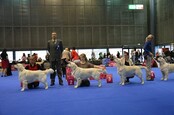DSC 0914