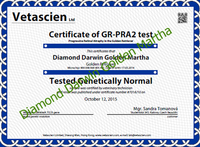gr-pra2