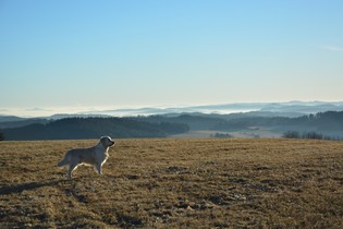 2/3 Šumava