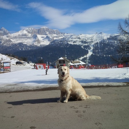 Madonna di Campiglio