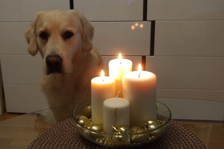 3. adventní neděle