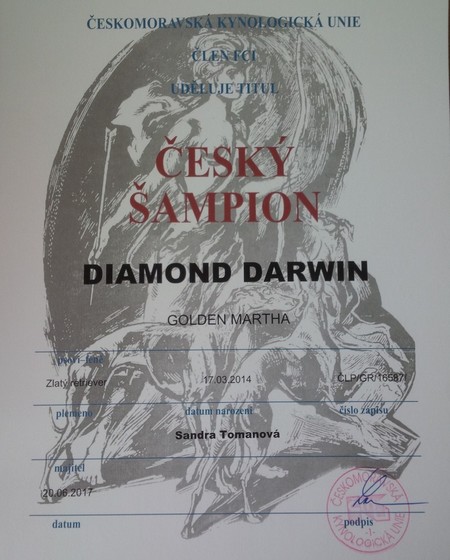 Český šampion krásy
