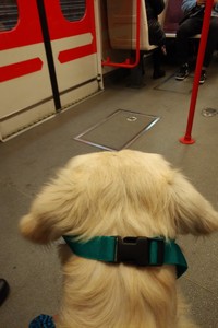 1. metro