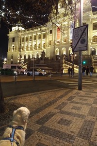 3. muzeum
