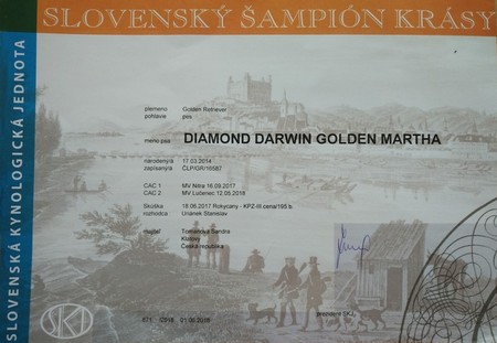 Slovensky sampion