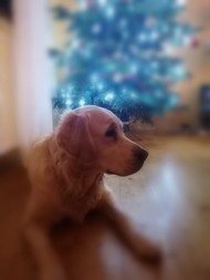 Aisha (chs Čimický ráj)