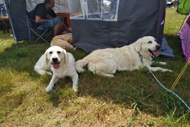 2. Daisy a Darwin